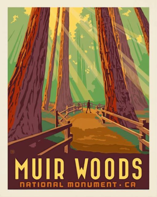 Muir Woods National Monument Poster paint by numbers