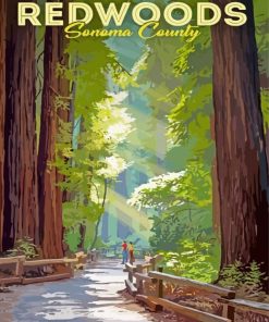 Redwoods Sonoma Poster paint by numbers