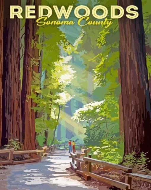 Redwoods Sonoma Poster paint by numbers