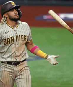 San Diego Padres Baseball Player paint by numbers