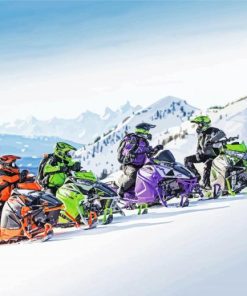 Snowmobile Riders paint by numbers