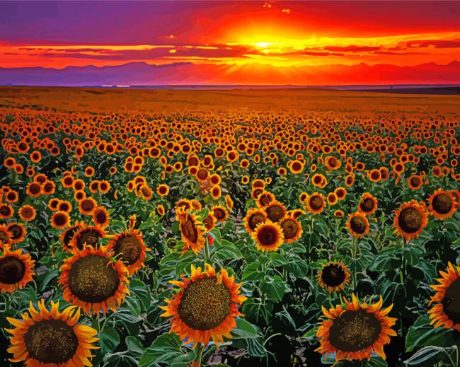 Sunflowers Sunset paint by numbers