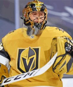 Vegas Golden Knights Player Sport paint by numbers