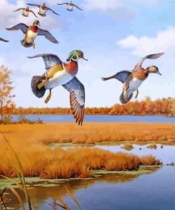Aesthetic Waterfowl paint by numbers