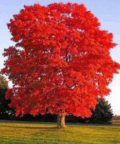 Aesthetic Red Trees paint by numbers