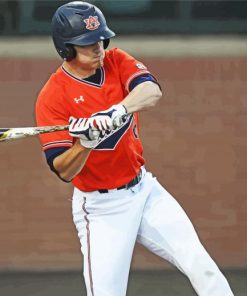 Auburn Tigers Baseballer paint by numbers