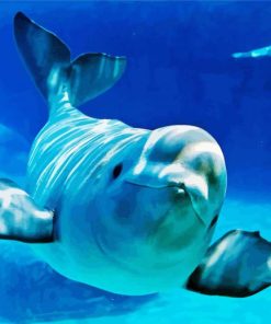 Baby Beluga Whale paint by numbers