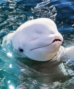 Cute Beluga whale paint by numbers