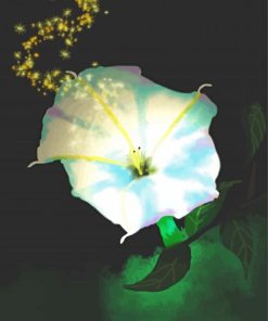Moon Flower Sparkle paint by numbers