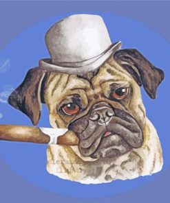 Pug With A Cigar Illustration paint by numbers
