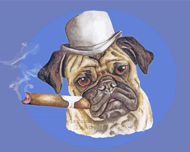 Pug With A Cigar Illustration paint by numbers
