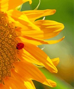 Sunflowers Ladybug Insect paint by numbers