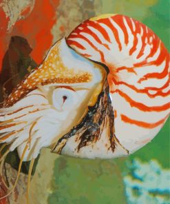 Nautilus Paint By Numbers