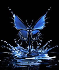 Water Splash Butterfly Paint By Numbers
