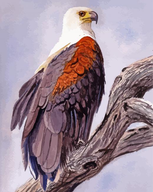 Bald Eagle Painting by Number Painting Kit by Numbers Acrylic