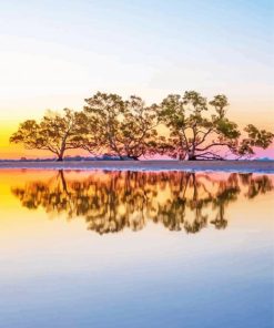 Australian Landscape Reflection Paint By Numbers
