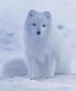 Baby Arctic Fox In Snow Paint By Numbers