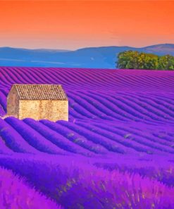 Cottage And Lavender Field Paint By Numbers