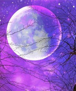 Galaxy Purple Moon Paint By Numbers