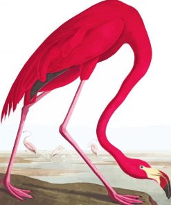 Pink Vintage Flamingo Paint By Numbers