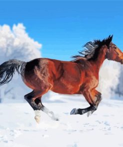 Running Snow Horse Paint By Numbers