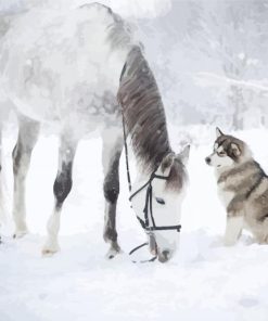 Snow Horse And Huskey Paint By Numbers