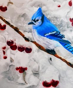 Blue Jay In Winter Snow Paint By Numbers