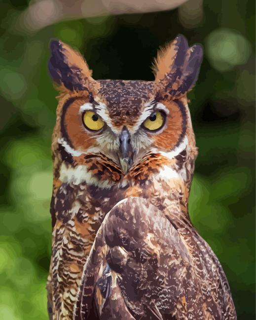 Horned Owl Paint By Numbers