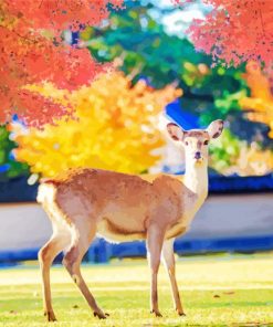 Nara Park Paint By Numbers
