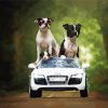 Pit Bull Family On Car Paint By Numbers