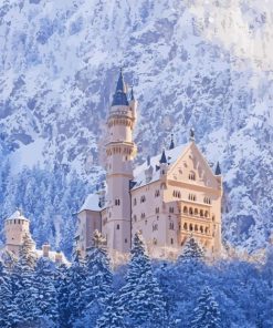 Winter Neuschwanstein Castle Paint By Numbers