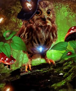 Witch Owl Bird Paint By Numbers