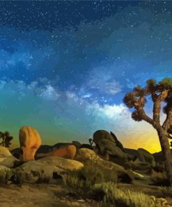 Starry Night California Desert Paint By Numbers
