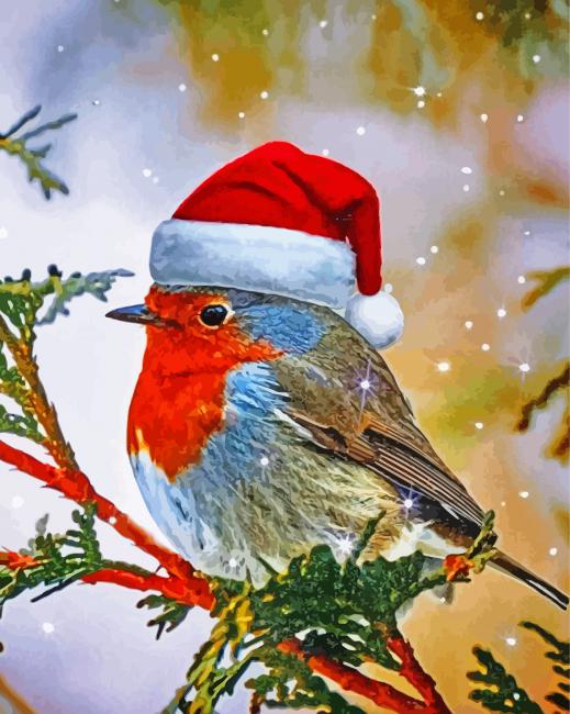 Christmas Robin Bird Paint By Numbers