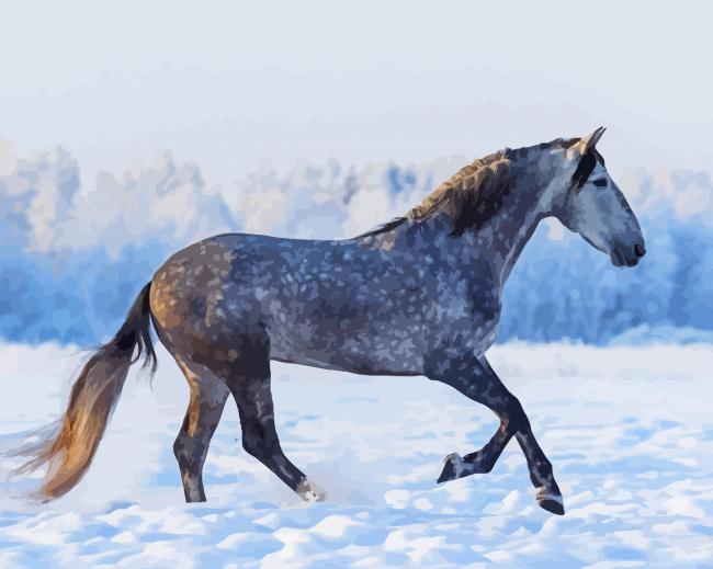 Dapple Horse In Snow Paint By Numbers
