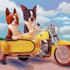 Dogs Riding Motorcycle Paint By Numbers