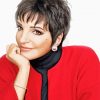 Liza Minnelli Paint By Numbers