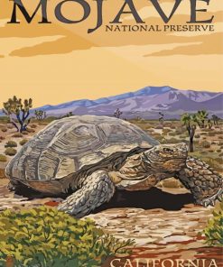 Mojave Desert Poster Paint By Numbers