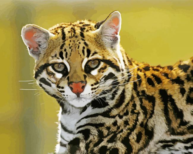Ocelot Paint By Numbers