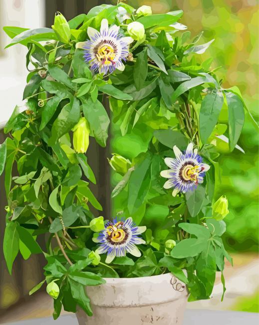 Passionflower Plant Pot Paint By Numbers