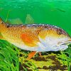 Red Drum Fish Underwater Paint By Numbers