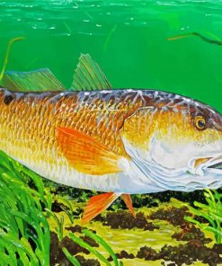 Red Drum Fish Underwater Paint By Numbers