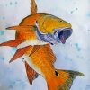 Red Drum Fish Art Paint By Numbers