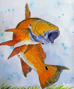 Red Drum Fish Art Paint By Numbers