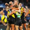 Richmond Tigers Club Players Paint By Numbers