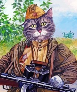 Soldier Army Cat Paint By Numbers