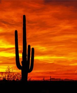 Sunset Saguaro National Park Paint By Numbers