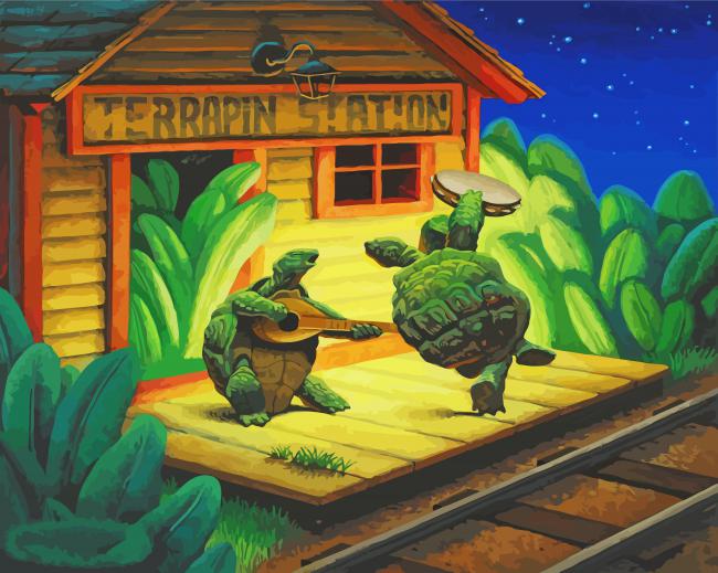 Terrapin Turtle In Station Paint By Numbers
