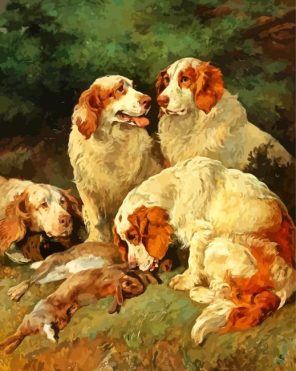 The Clumber Spaniels Dogs Paint By Numbers