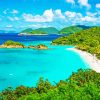 US Virgin Islands Beach View Paint By Numbers